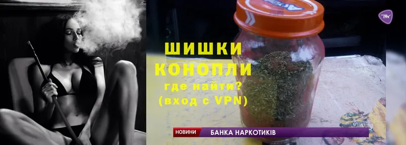 Канабис OG Kush  Каневская 